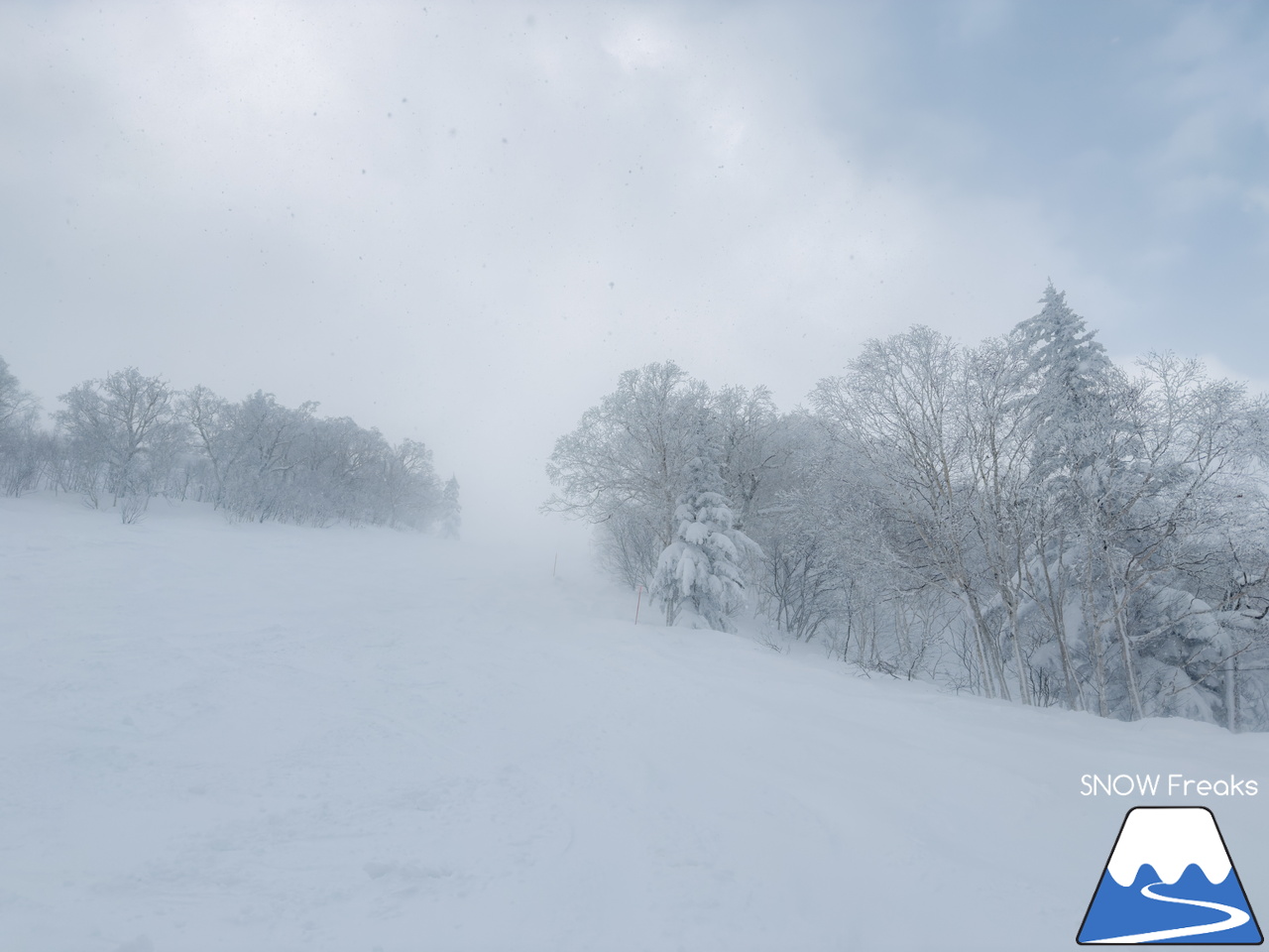 キロロリゾート｜北海道が世界に誇る、ふわっふわのパウダースノーシーズンがやって来ましたよ～♪